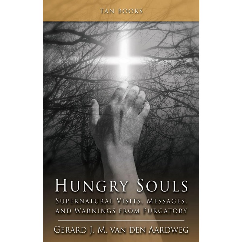 Hungry Souls: Supernatural Visits, Messages, and Warnings from Purgatory - Gerard J. M. Van Den Aardweg