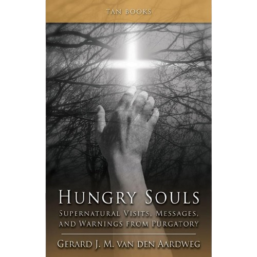 Hungry Souls: Supernatural Visits, Messages, and Warnings from Purgatory - Gerard J. M. Van Den Aardweg